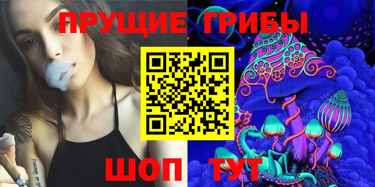 Ипатово  Галлюциногенные грибы Cubensis  Вход с VPN 