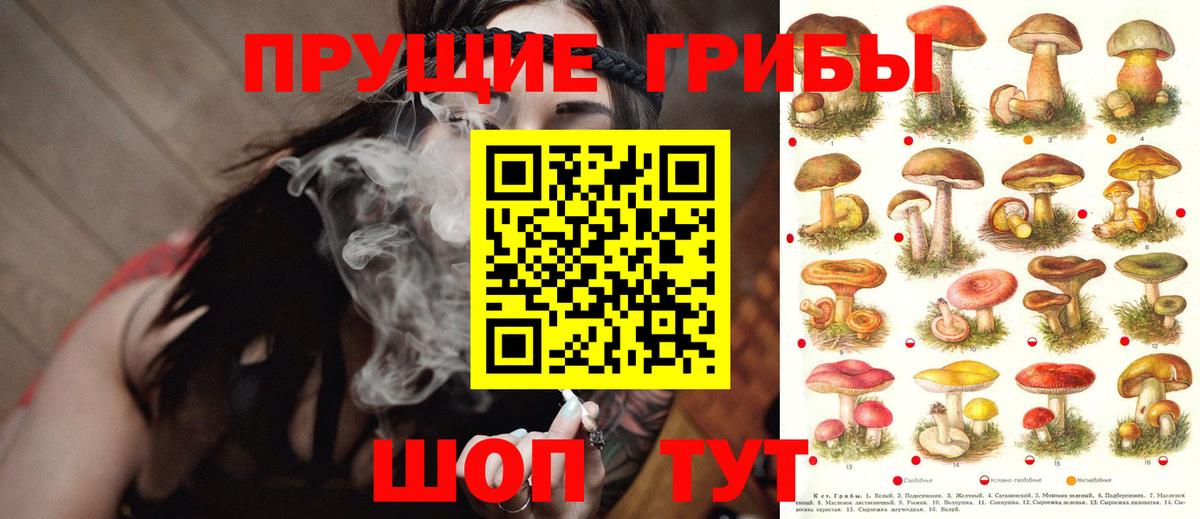 Галлюциногенные грибы ЛСД Ипатово